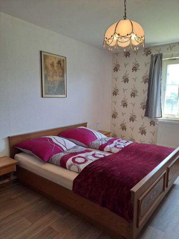 Keller´s Ferienwohnung an der Saale - Apartment - Ground Floor