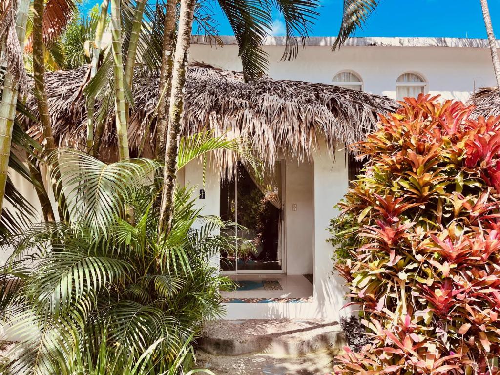 Un jardín fuera de Hotel La Tortuga