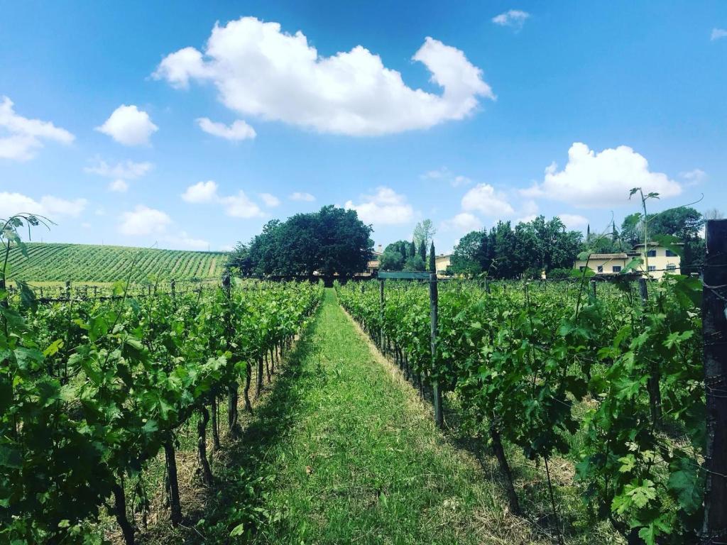 Zahrada ubytování Borgo del Gelso