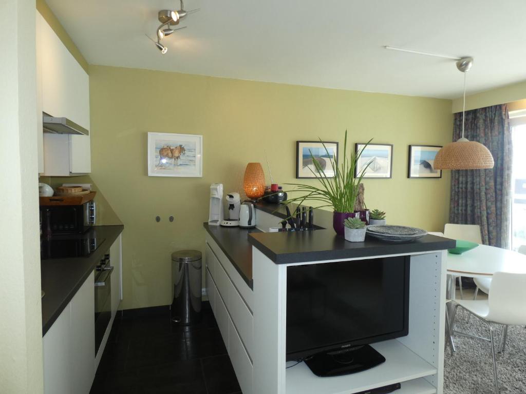 Kuchyň nebo kuchyňský kout v ubytování Oostduinkerke Apartments 2