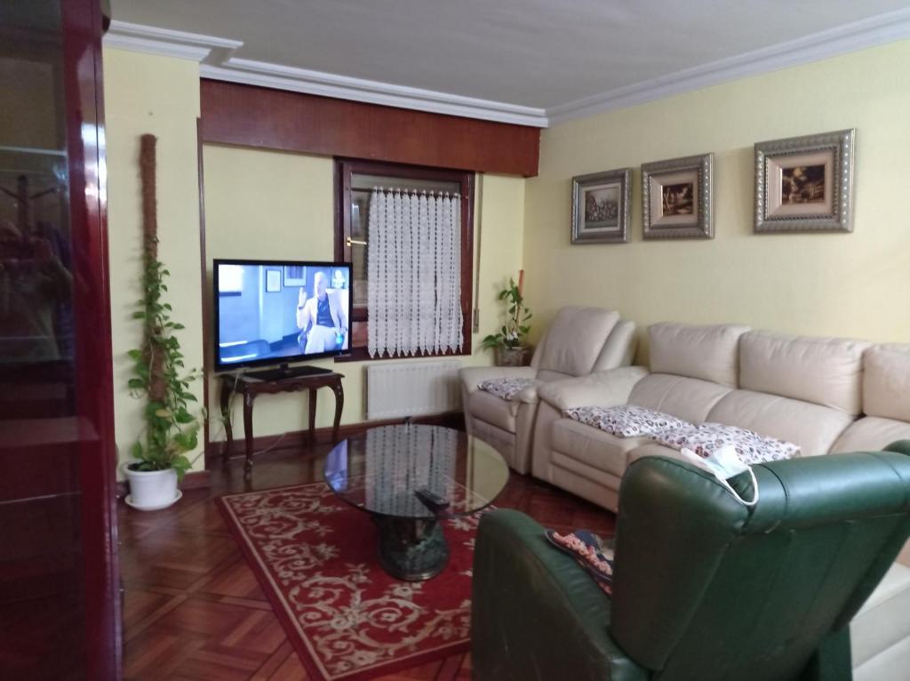 uma sala de estar com um sofá e uma televisão em txukuna em Amorebieta-Echano
