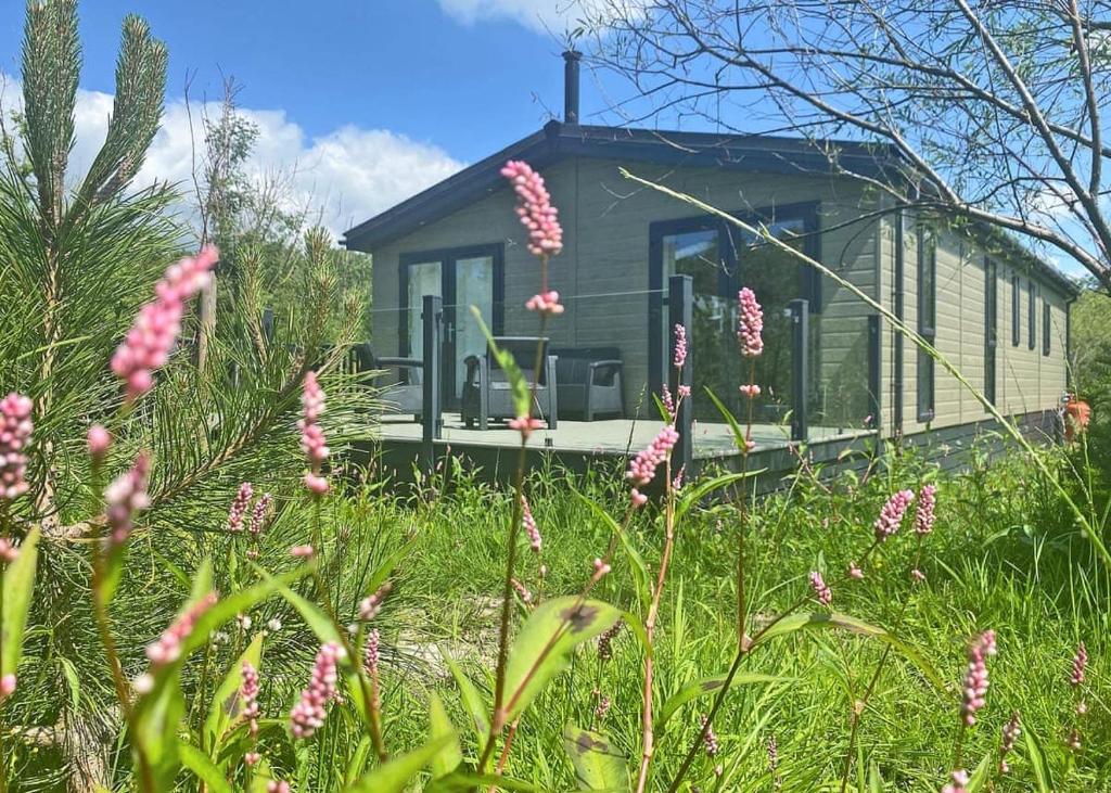 a small green house in a field of flowers at Bowland Escapes in Chipping