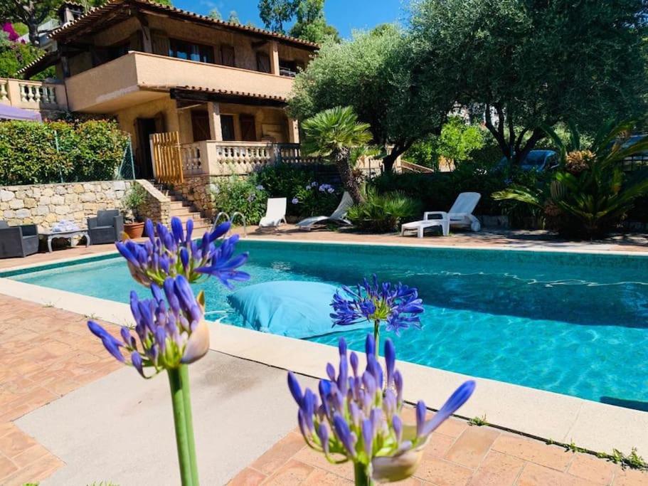a house with a swimming pool and purple flowers at Villa Mon Rêve in Le Cannet