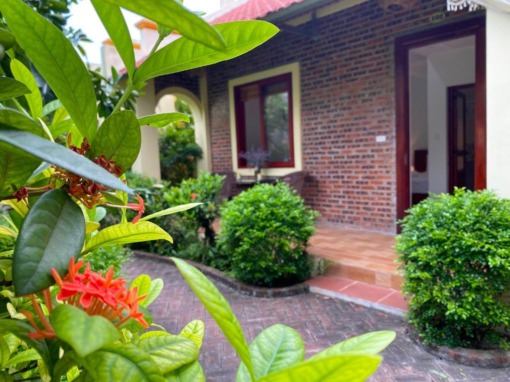 Tam Coc Golden Sky Homestay - 7