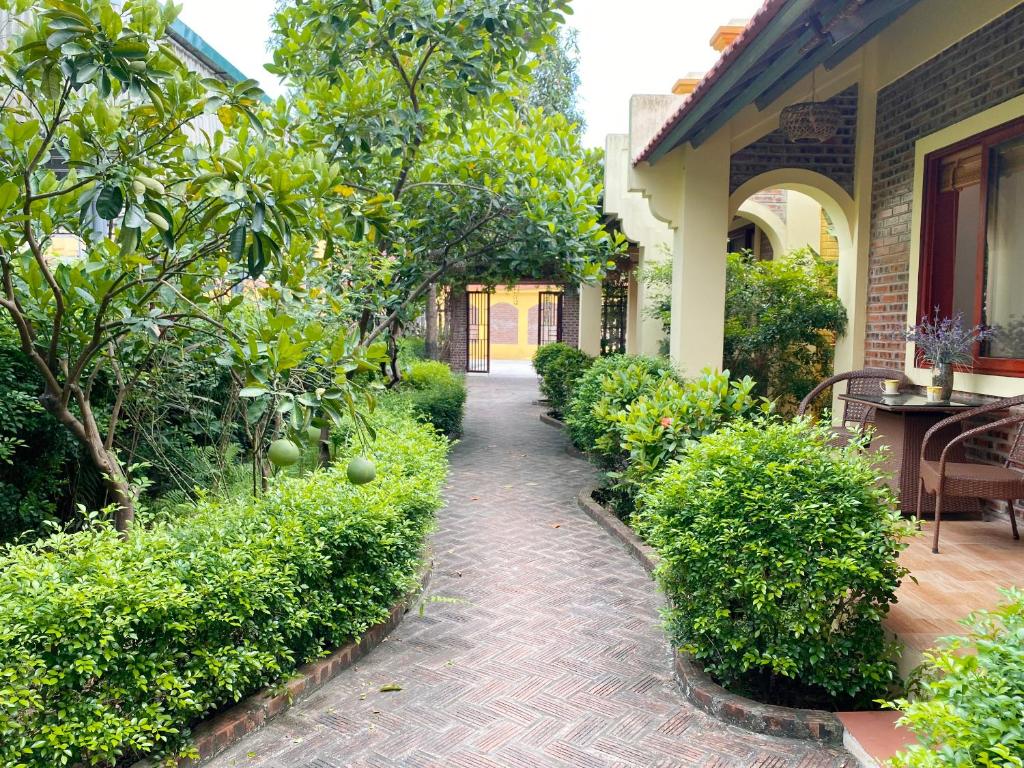 Tam Coc Golden Sky Homestay - 9