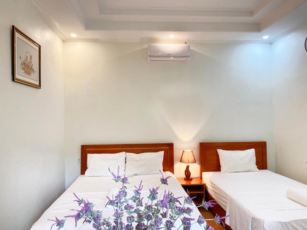 Tam Coc Golden Sky Homestay - 4