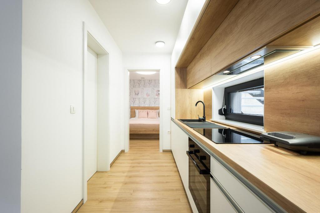 Kuchyň nebo kuchyňský kout v ubytování Apartments Gros