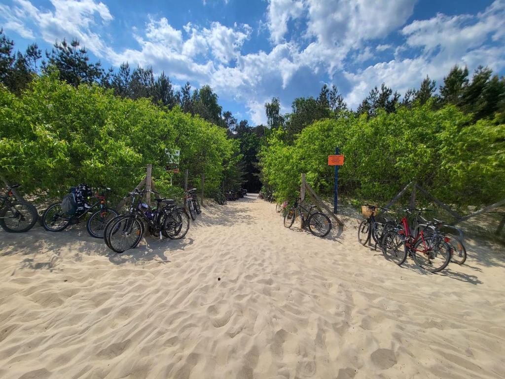a group of bikes parked on the beach at Park Regana in Gdańsk