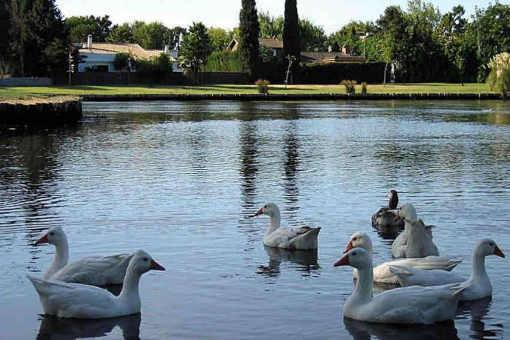 Zdjęcie z galerii obiektu Fantástica Villa-Guadacorte w mieście Los Barrios