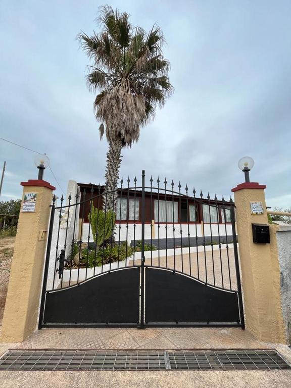 a gate with a palm tree in front of a house at Villa Grazia in Petrosino