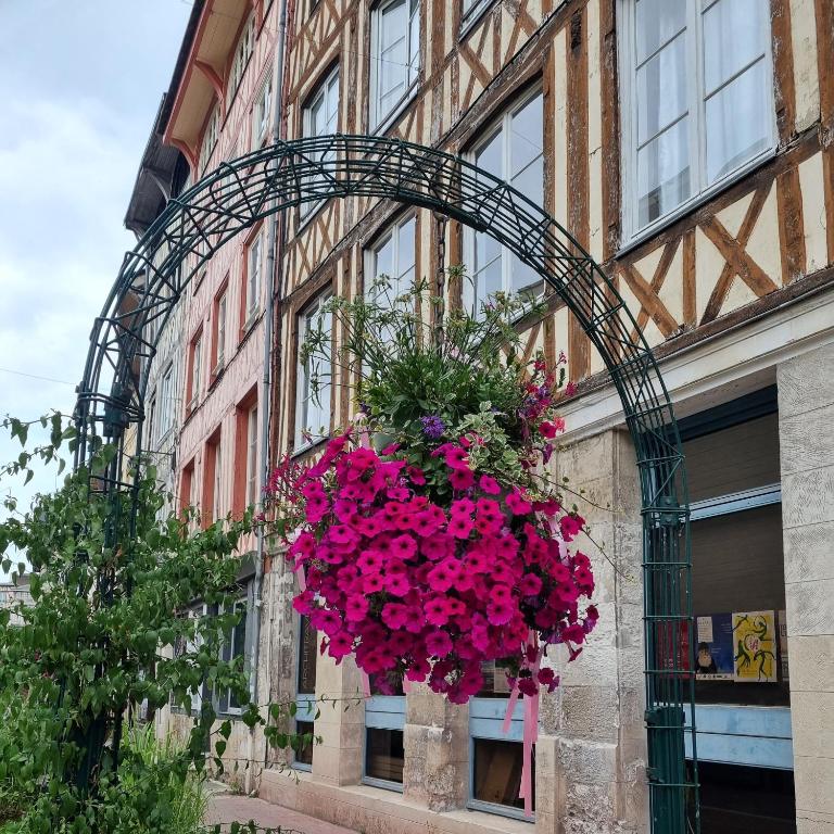 a hanging basket of pink flowers on the side of a building at Le Lovely cosy jacuzzi centre-ville wifi in Rouen