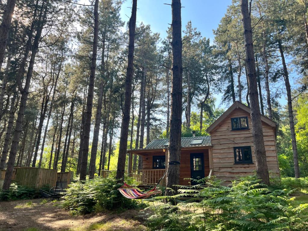 a small cabin in the woods with trees at Keepers Cabin - Hot tub in Kings Lynn