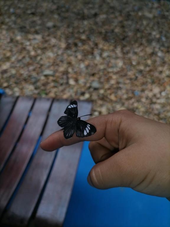 Fotografie z fotogalerie ubytování Hotel campestre la Maria v destinaci Villavicencio