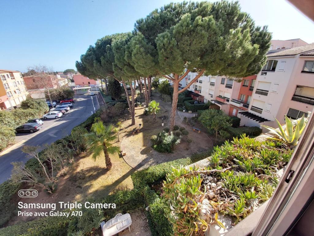 - un balcon avec vue sur un arbre et une rue dans l'établissement Coquet Studio Centre Port Cap D'Agde, au Cap d'Agde