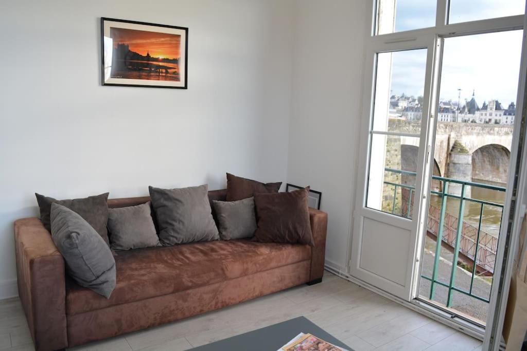 een woonkamer met een bruine bank en een raam bij CyclodeLoire vue splendide in Saumur