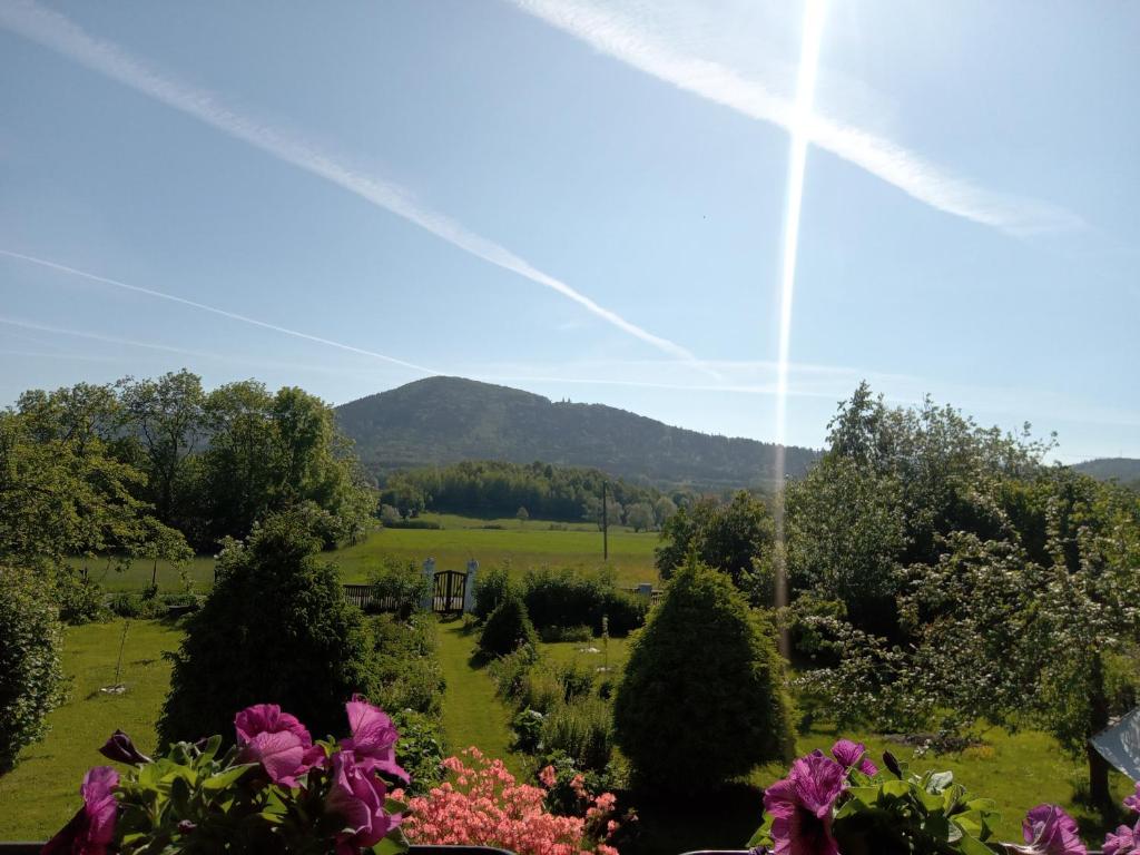 Blick auf einen Garten mit Bergblick im Hintergrund in der Unterkunft Dom z widokiem - Wilkanów 184 in Wilkanów