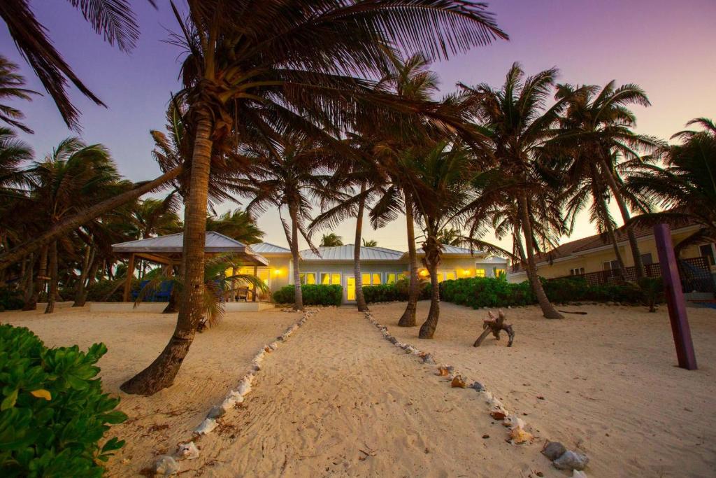 a dog walking on a beach with palm trees at Coconut Beach by Grand Cayman Villas & Condos in Driftwood Village