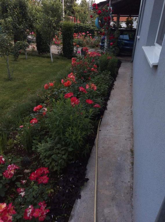 Zahrada ubytování Kuca za odmor Duranovic