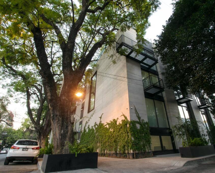 Casa ModernaTownhouse en Condesa, Mexico City Updated 2023 Prices