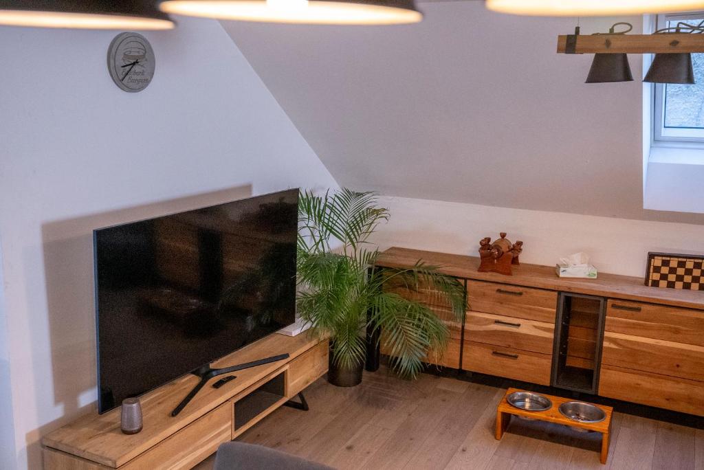 TV a/nebo společenská místnost v ubytování Apartmány v Podzámčí