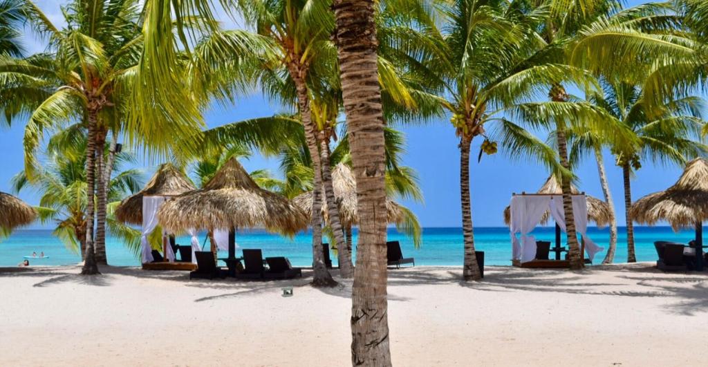 uma praia com palmeiras e cadeiras e o oceano em Cadaques Caribe Bayahibe Apartments em La Fragata