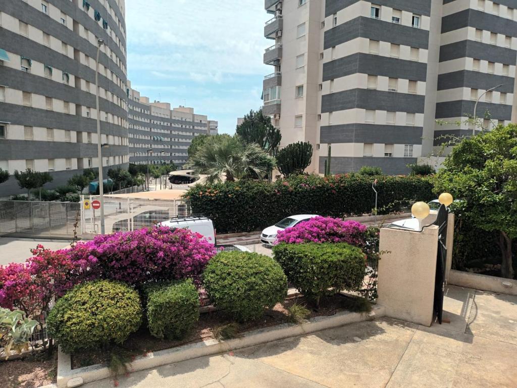 Piso Jardín del Mar, El Campello – Updated 2023 Prices