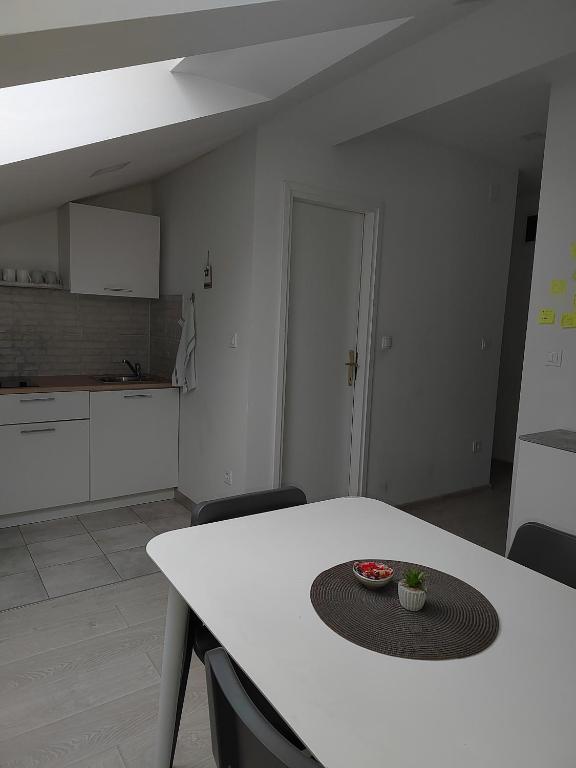 Kuchyňa alebo kuchynka v ubytovaní Hill apartman - MAKSIMIR Rebro
