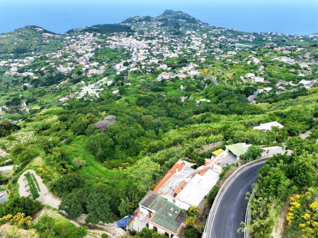 una vista aerea di un villaggio su una collina con una strada di Villa Gesualda a Ischia