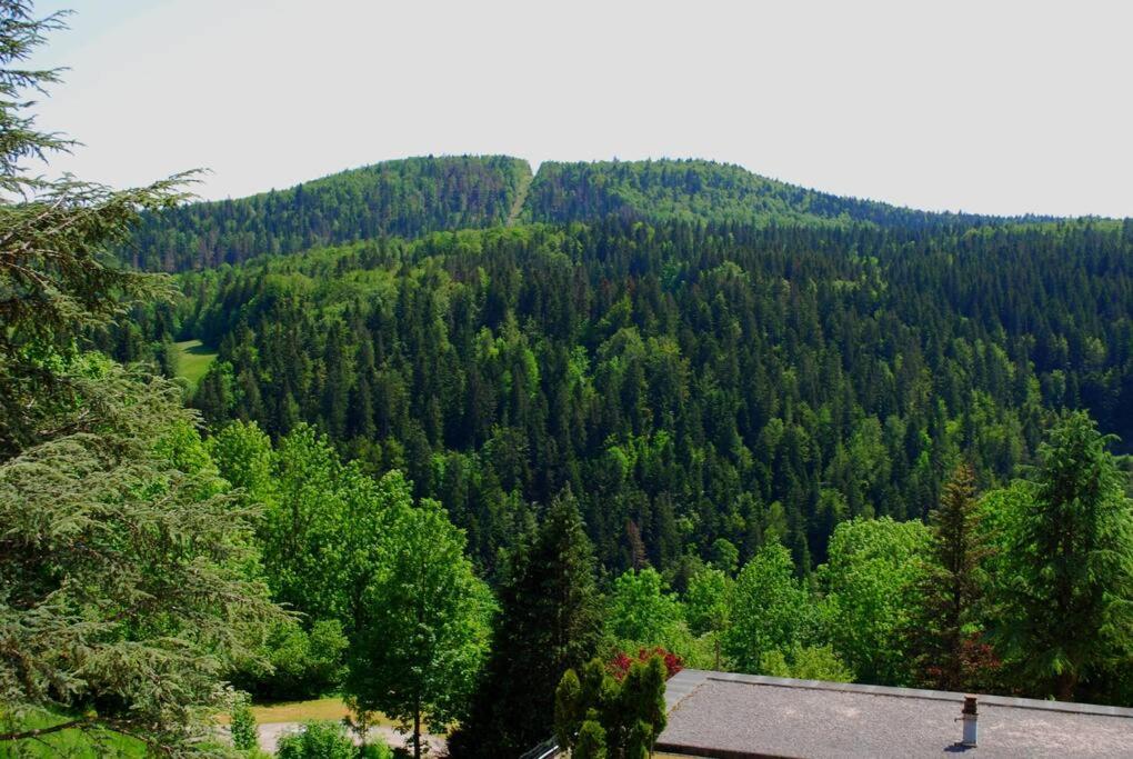 Nespecifikovaný výhled na hory nebo výhled na hory při pohledu z apartmánu