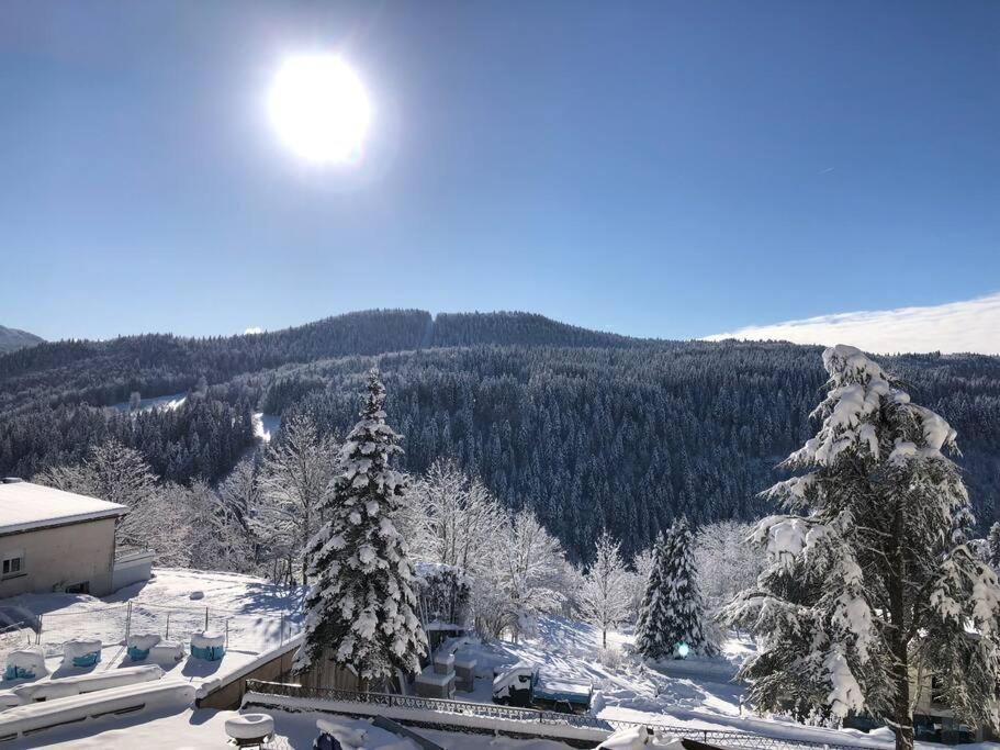 Příroda nedaleko apartmánu