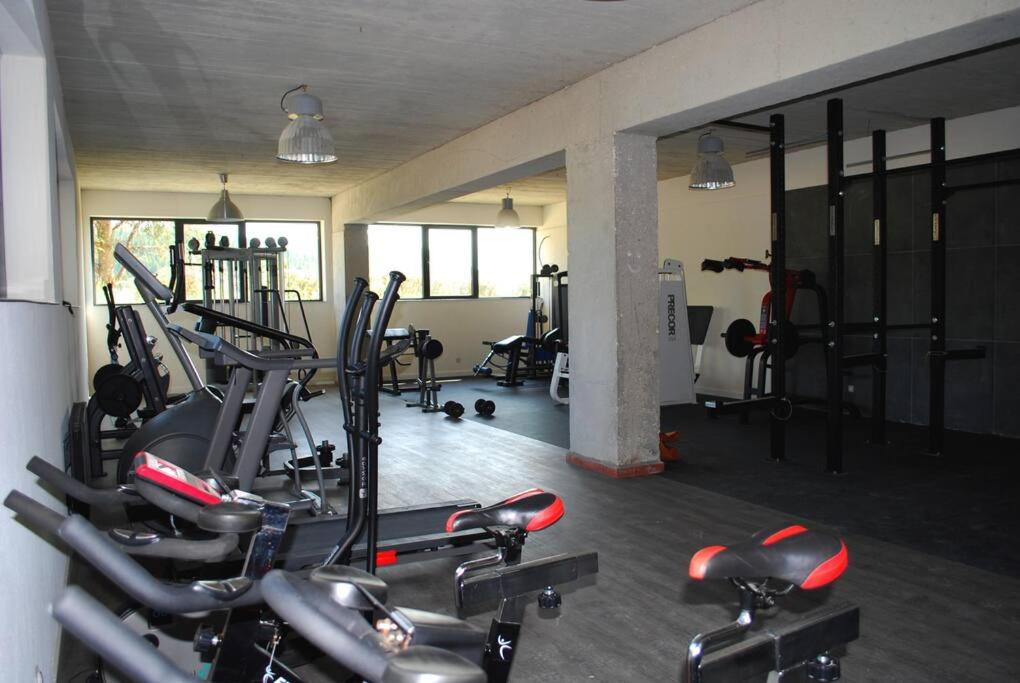 Fitness centrum a/nebo fitness zařízení v ubytování Charmant Appart' du Haut-Jura