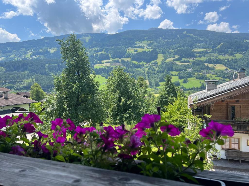 Ferienwohnung Platzhirsch Panorama View, Stumm Prezzi aggiornati per