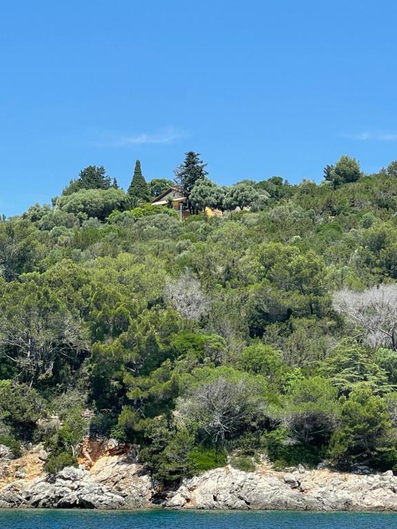 a house on top of a hill with trees at Apartment Monte Rosa in Mali Lošinj