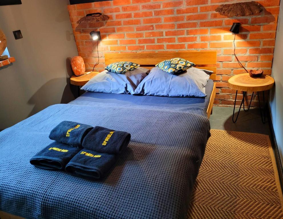 Posteľ alebo postele v izbe v ubytovaní Apartament SPOKOLOKO Mysliwski