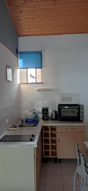 uma pequena cozinha com um micro-ondas e um fogão em La chatière em Pontaubault