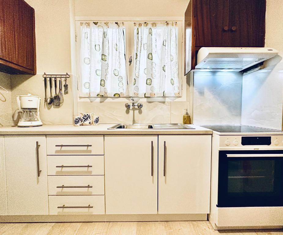 uma cozinha com um lavatório e um fogão em Sunshine Apartment em Preveza