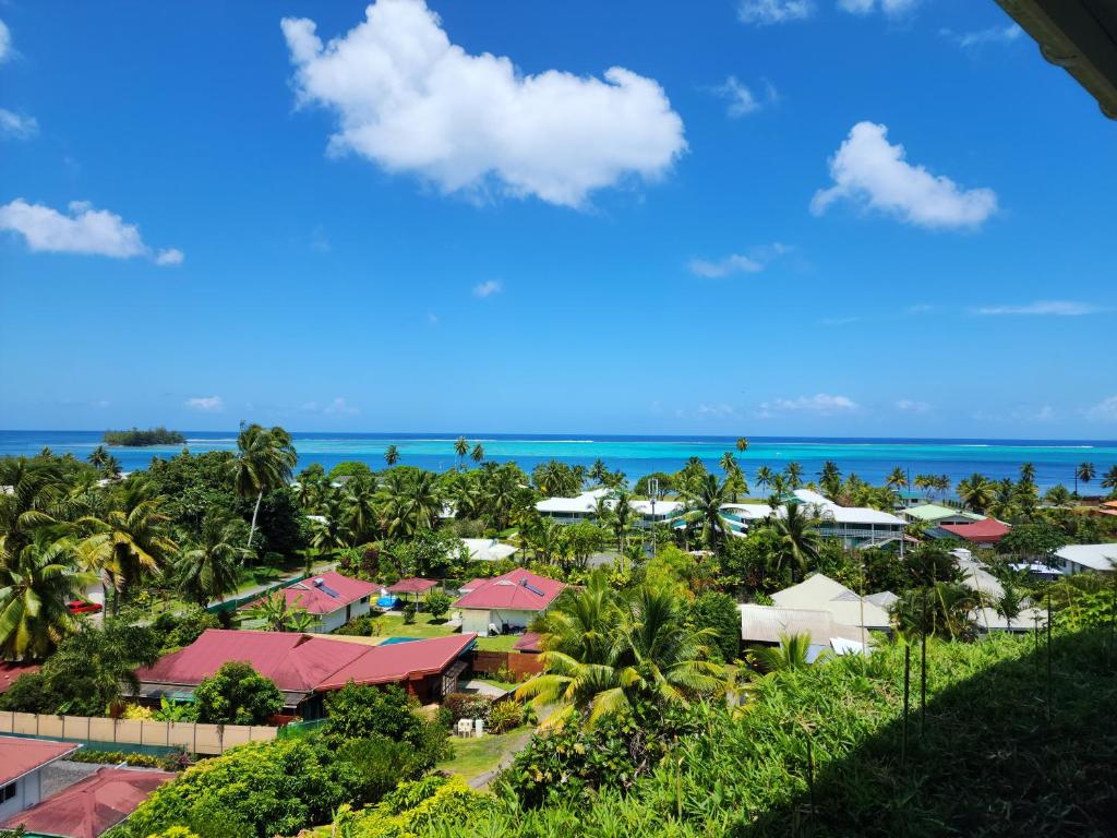 Bungalow Tiare, Uturoa - photo 10 - Raiatea, Polynésie