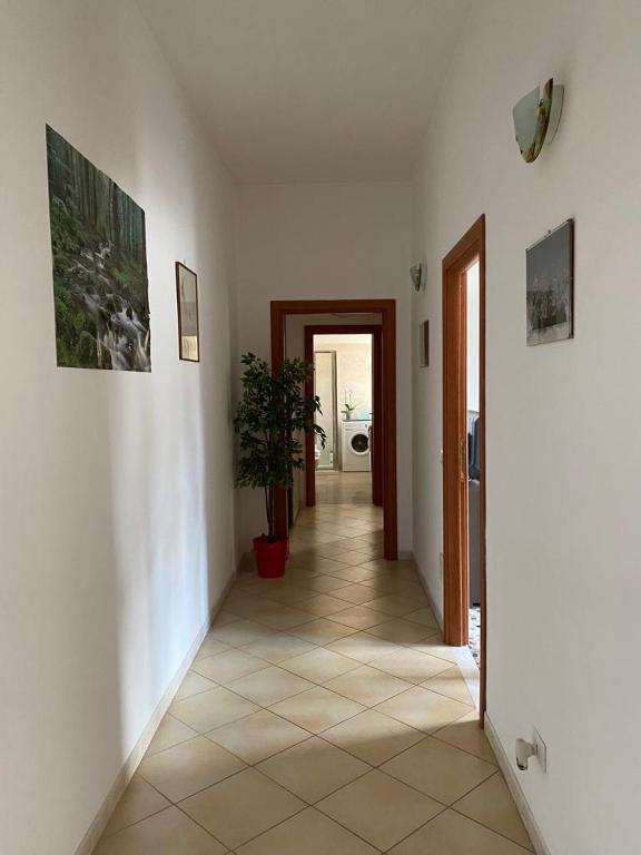 a hallway of a house with a plant in it at Pisana 247 St Peter in Rome
