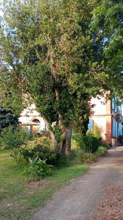 Zahrada ubytování Comme chez vous "pour 4 personnes"