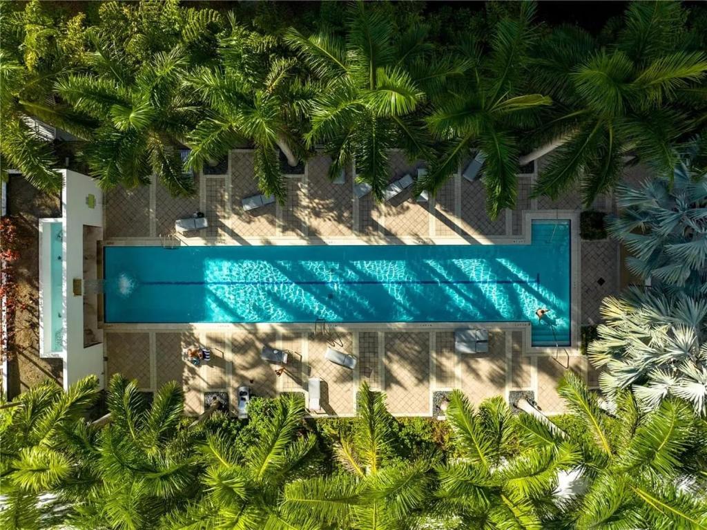 uma vista sobre uma piscina com palmeiras em Center Stage- Downtown Parking Pool Hot Tub em Miami