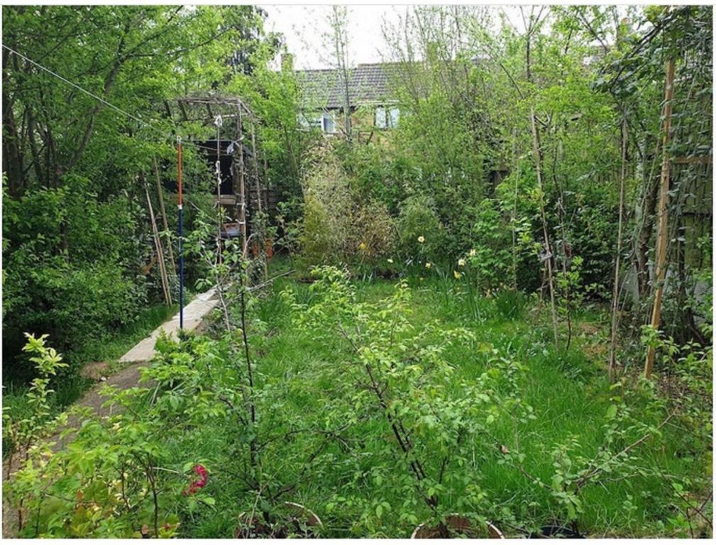 un jardín con una exuberante vegetación verde y una casa en Basildon House, en Basildon