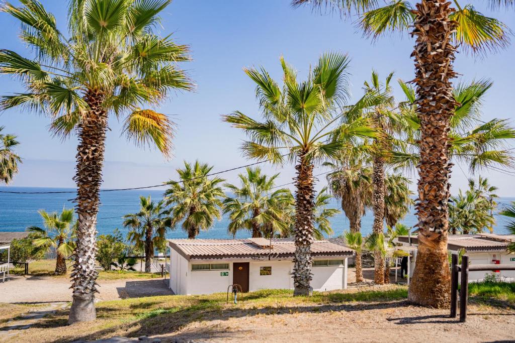 une maison sur la plage avec des palmiers dans l'établissement Cabañas Uma Qala de Primeras Piedras, à Iquique