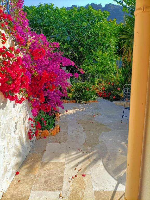 Ogród w obiekcie Petit coin de Paradis a cote de Monaco