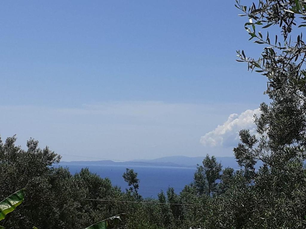 a view of a body of water with trees at Daphnes Apartments in Ratzaklíon