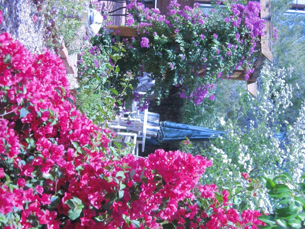Zahrada ubytování Mon Ami Bed and Breakfast