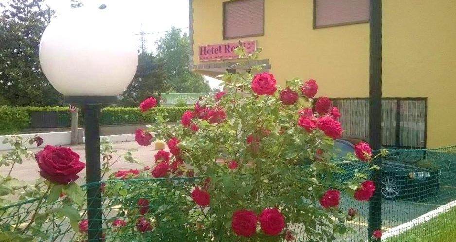 Zahrada ubytování Hotel Rosy