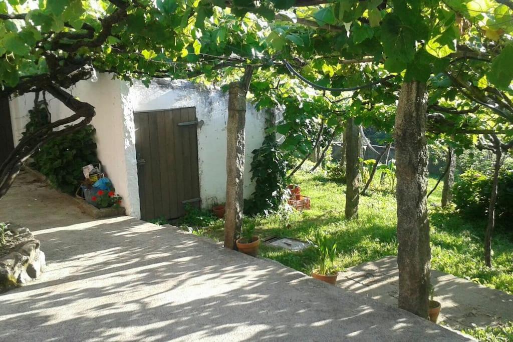Vonkajšia záhrada v ubytovaní A Barraca. Casa con jardín y vistas a la ría