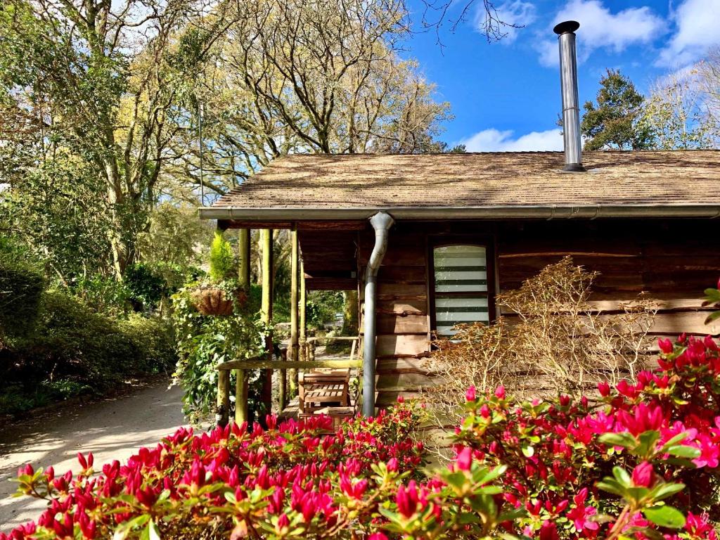 Zahrada ubytování Pinetum Garden Cottages