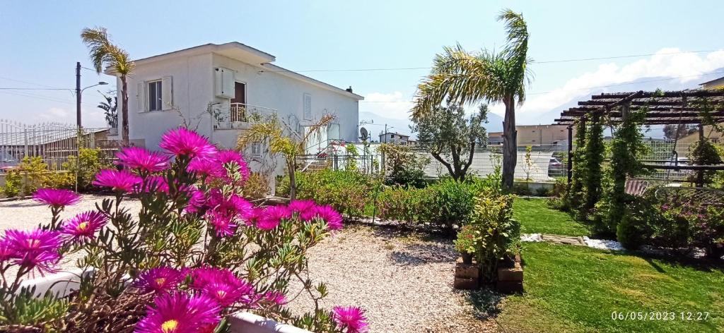 a garden with pink flowers in front of a house at La Villa degli Dei - Parcheggio Privato, Aria Condizionata, Smart TV con Netflix, Giardino con Divanetti, Amaca e Altalena, Navetta per Aereoporto, Treno, Spiaggia in Castellammare di Stabia