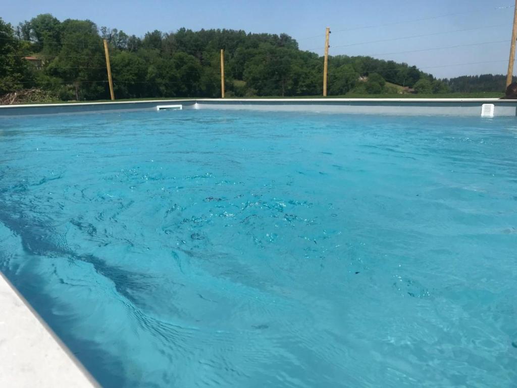 a swimming pool filled with blue water at Gîte Belmont-de-la-Loire, 4 pièces, 5 personnes - FR-1-496-126 in Belmont-de-la-Loire